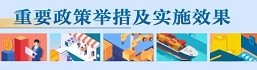 重要政策舉措及實施效果